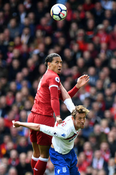 的情感纽带 的情感纽带