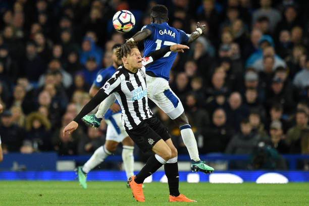 无疑是主要 无疑是主要